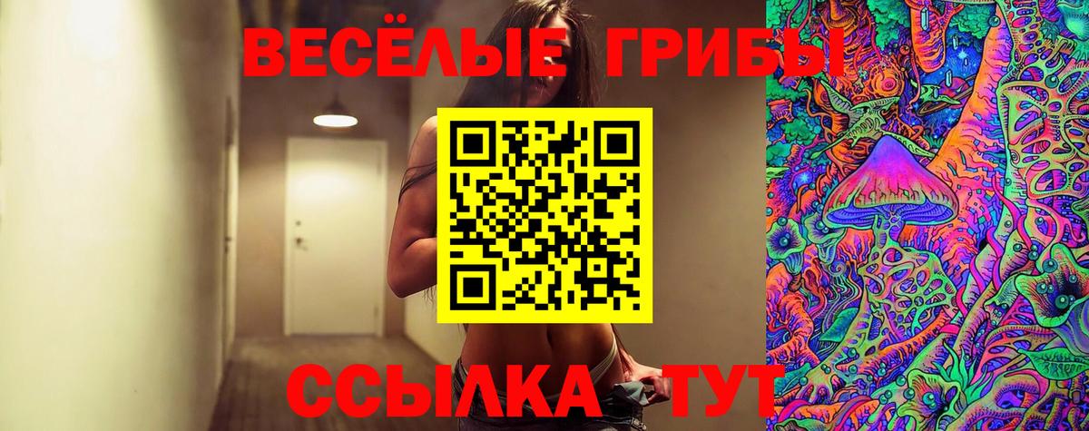 Псилоцибиновые грибы Magic Shrooms Калининград